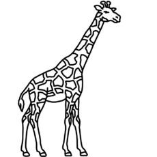 giraffe.jpg